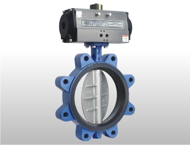 Pneumatic Resilient Wafer & Lug Type Butterfly Valve